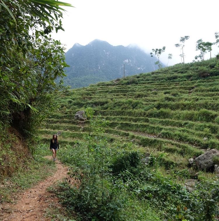 Mai Chau Valley rice fields