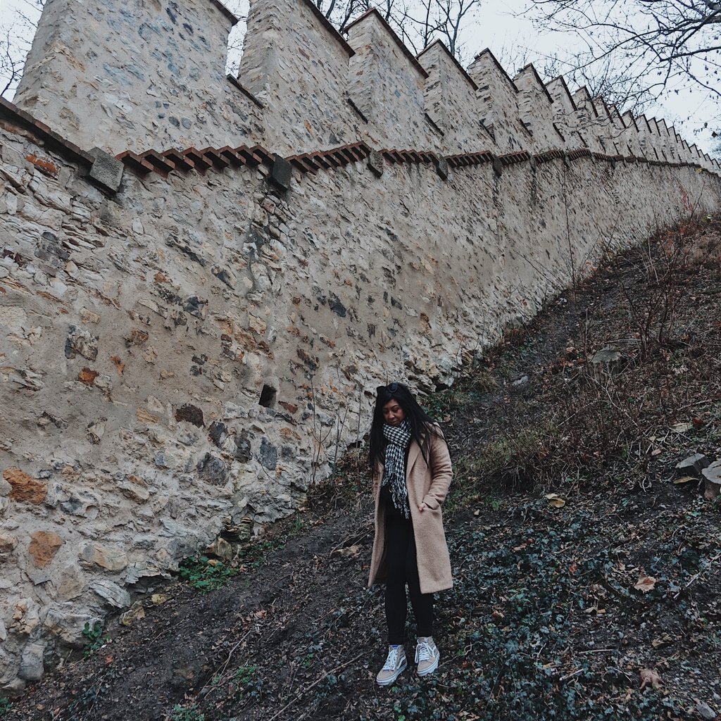 Hunger Wall in Prague