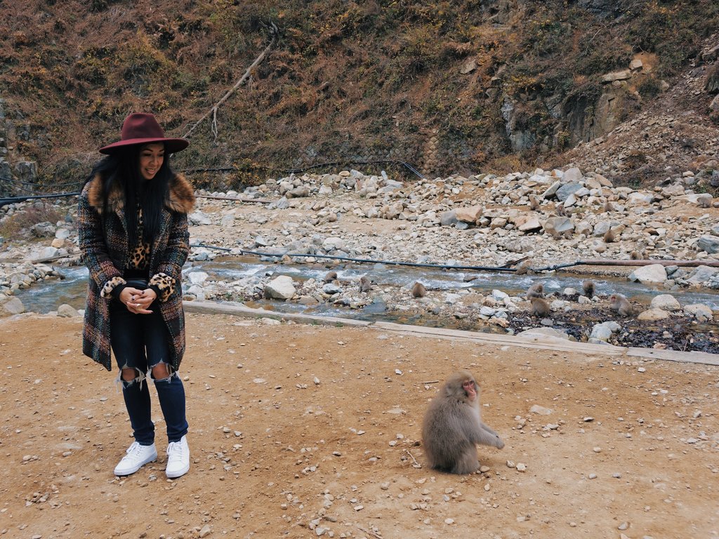 Snow monkey at Jigokudani