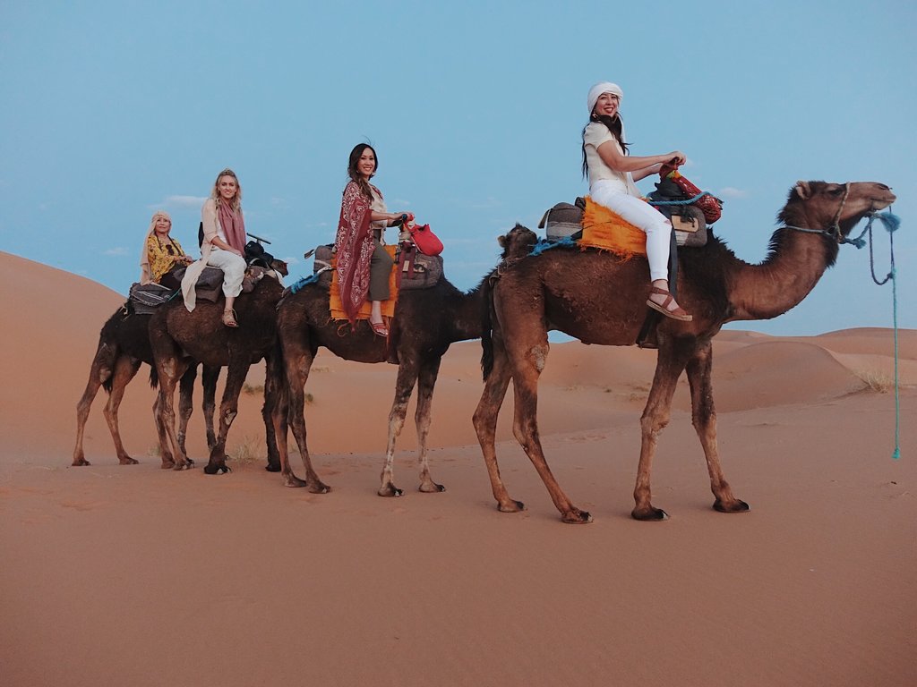 Camel Trekking in the Sahara Desert